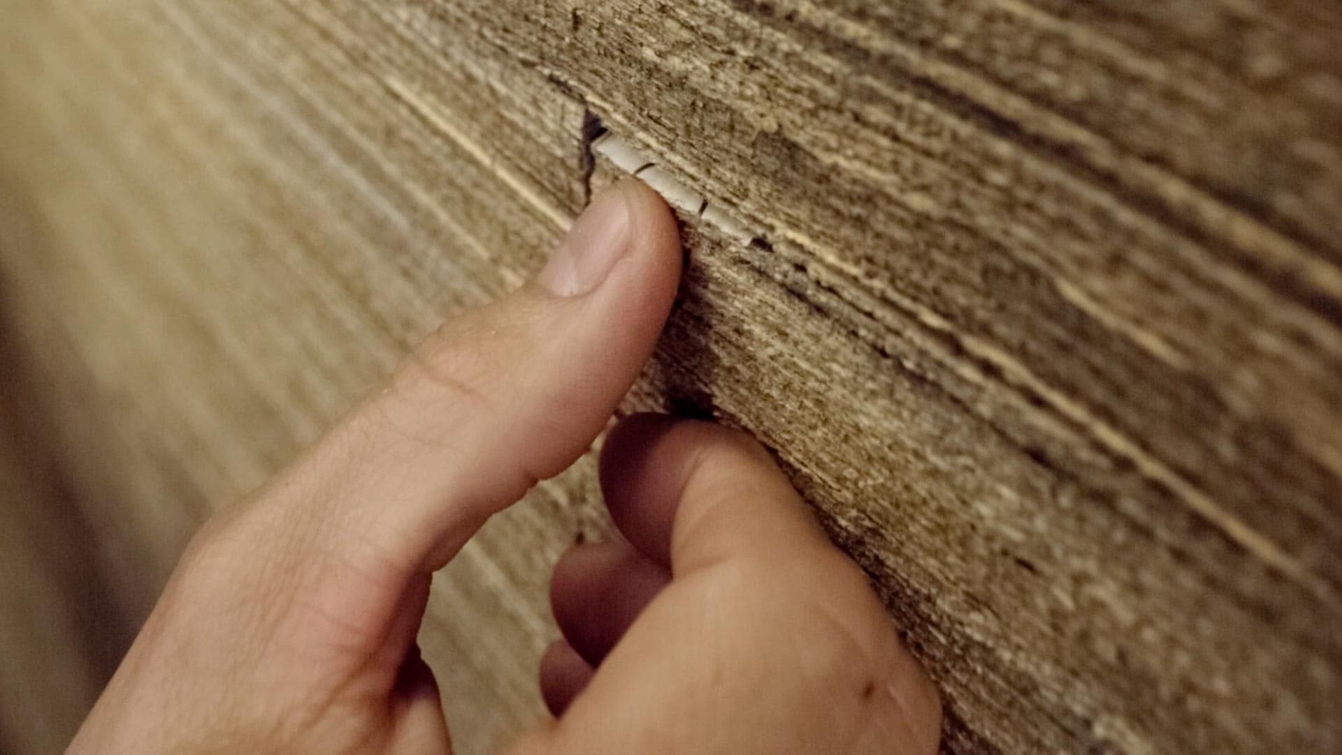 A close-up shot of a person's thumb, picking at a wooden wall.