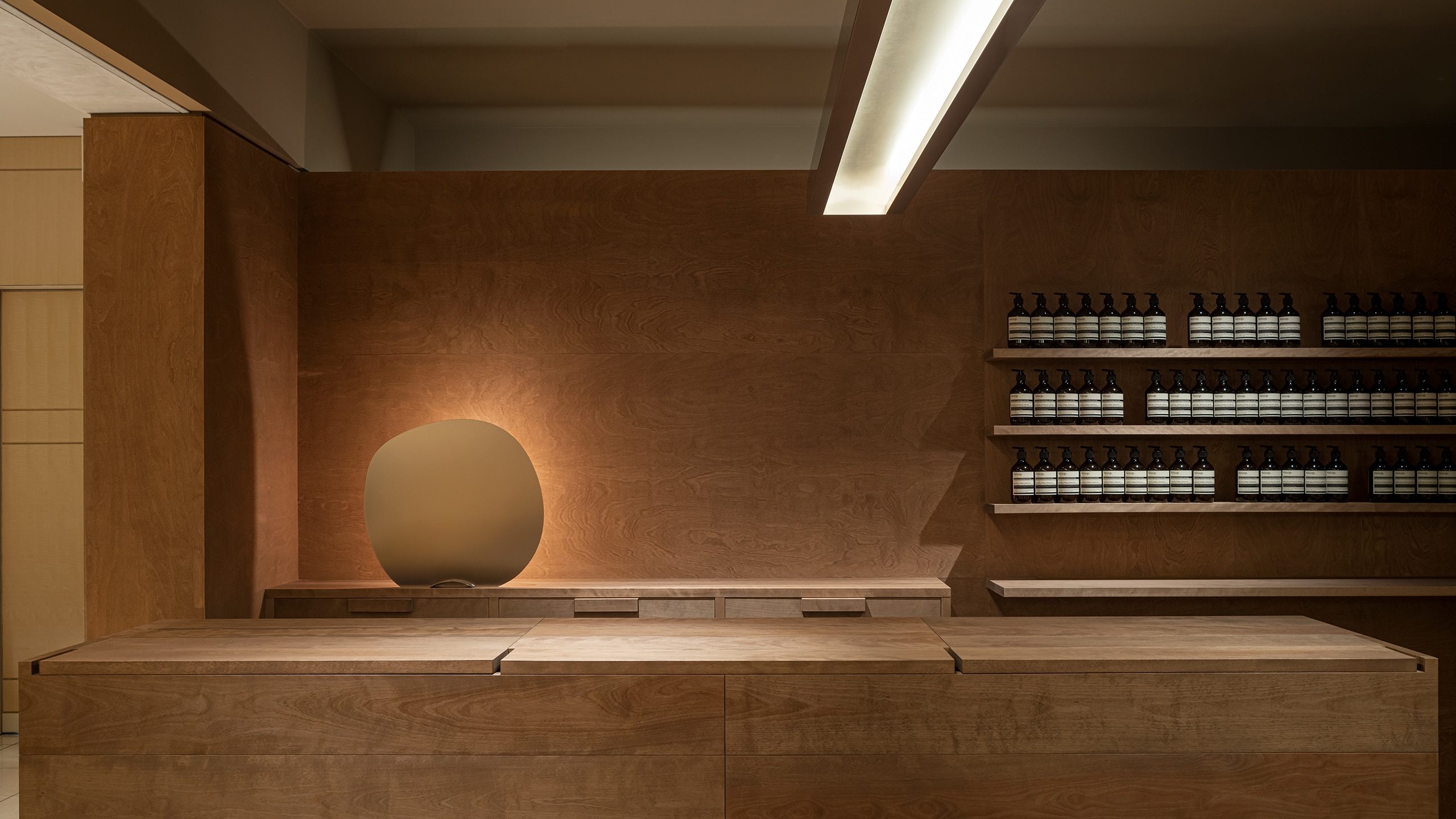 Aesop Shin Marunouchi store interior